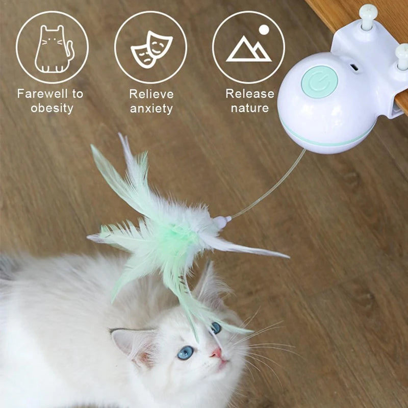 Drools&Tools USB Electric Cat Teaser!