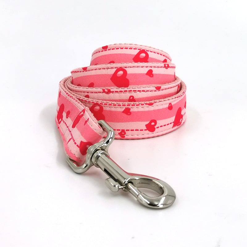 Quality Dog Collar and Leash Set