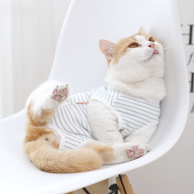 Blue & White Striped Cat Shirt