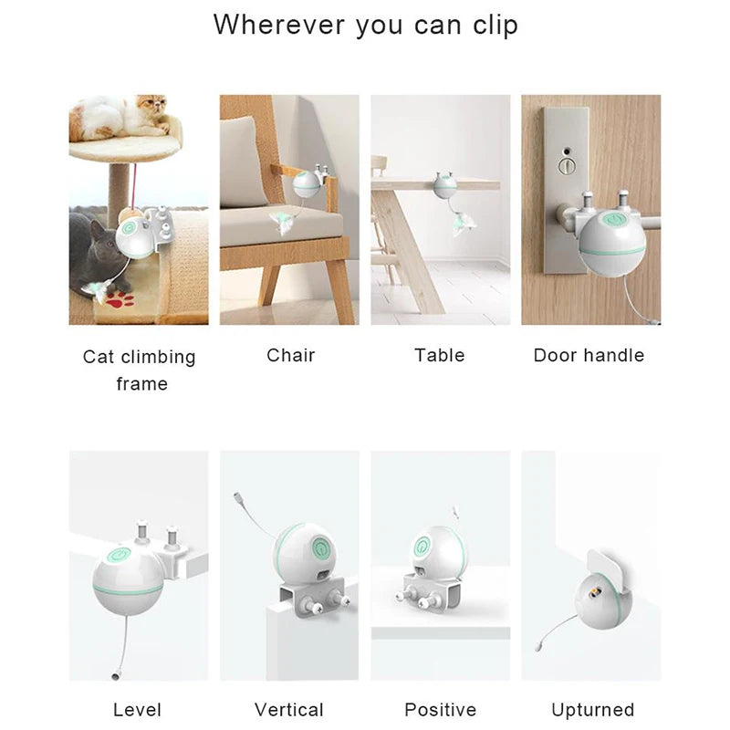 Drools&Tools USB Electric Cat Teaser!
