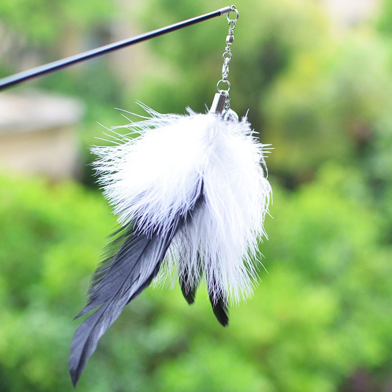 Cat Teaser Wand with Feather