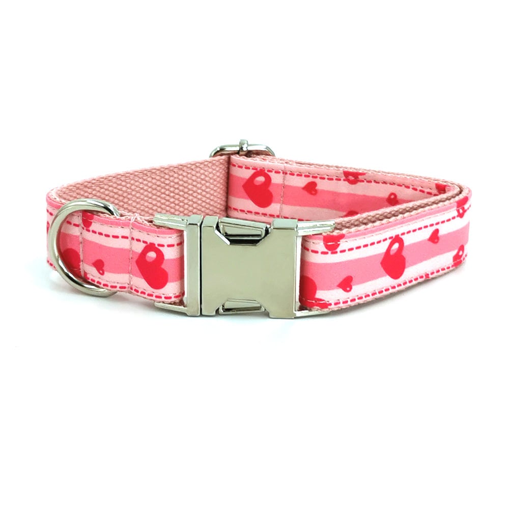 Quality Dog Collar and Leash Set