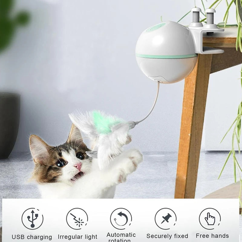 Drools&Tools USB Electric Cat Teaser!