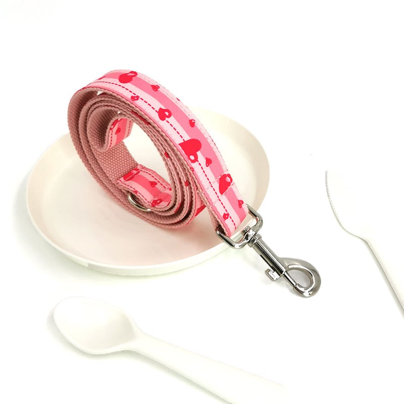 Quality Dog Collar and Leash Set