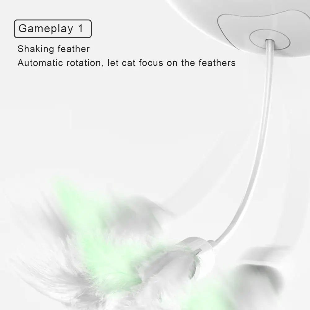 Drools&Tools USB Electric Cat Teaser!