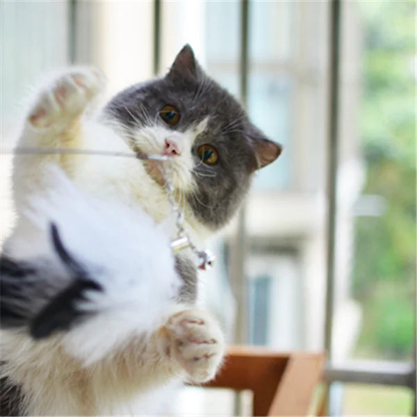 Cat Teaser Wand with Feather
