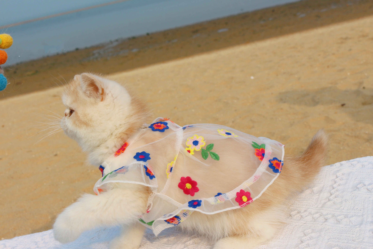 Mesh Flower Embroidered Dress for Cats