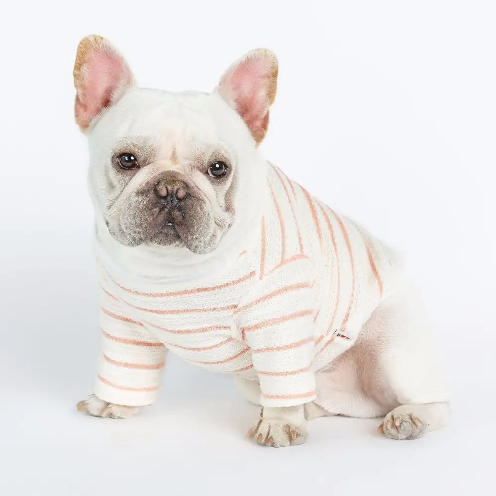 Embroidered Striped T-Shirt for Small Dogs