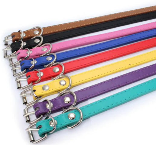 Purrfect Comfort Cat Collar & Leash Se