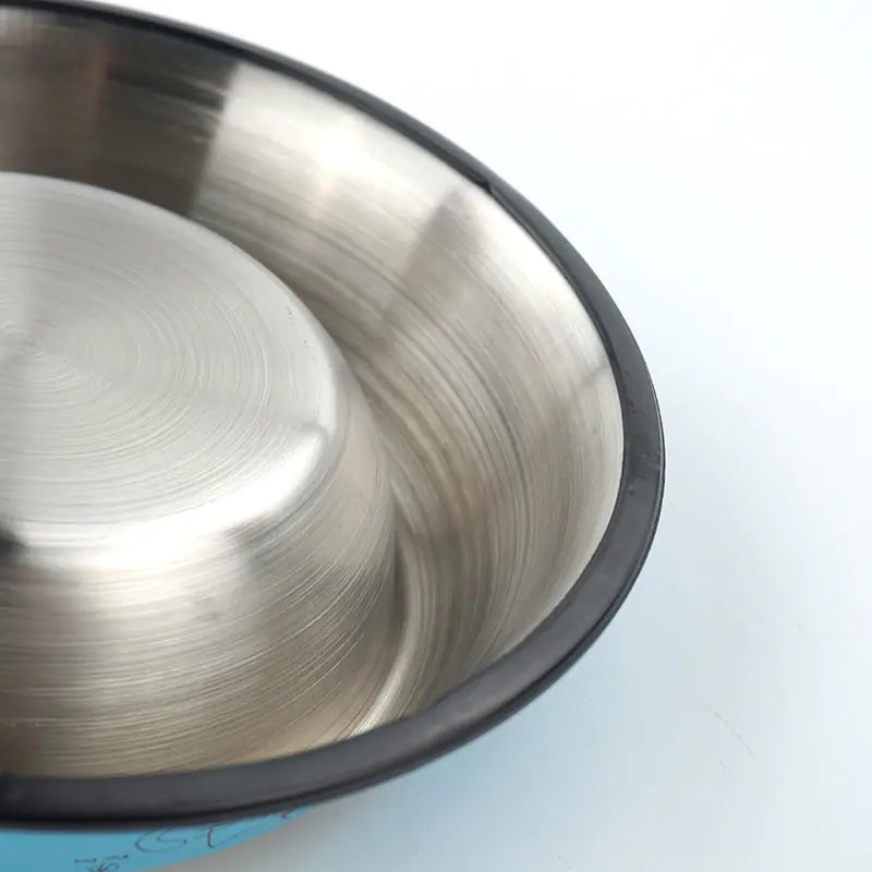 Vibrant Stainless Steel Dog Bowls — Style Meets Function!
