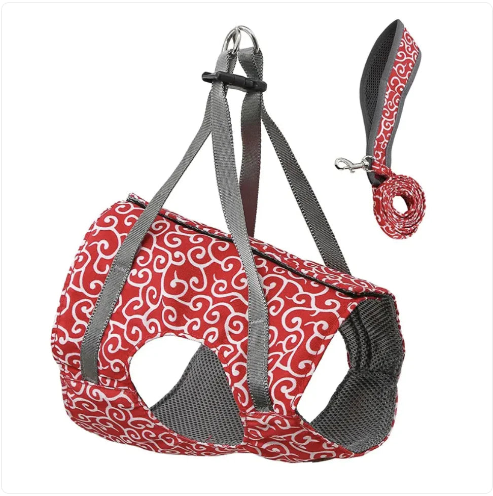 Drools&Tools Stylish & Secure Cat Harness Suit