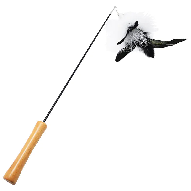 Cat Teaser Wand with Feather