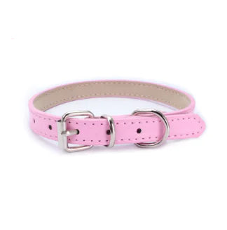 Purrfect Comfort Cat Collar & Leash Se