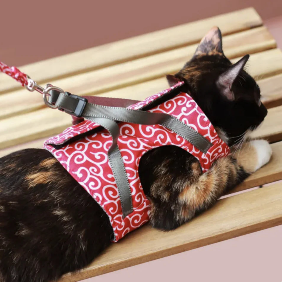 Drools&Tools Stylish & Secure Cat Harness Suit