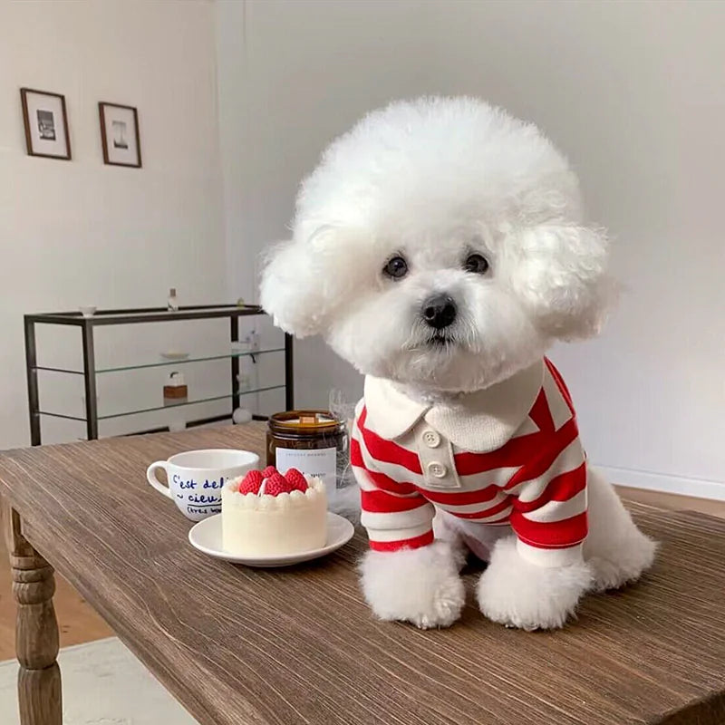 Summer Polo Dog Shirt