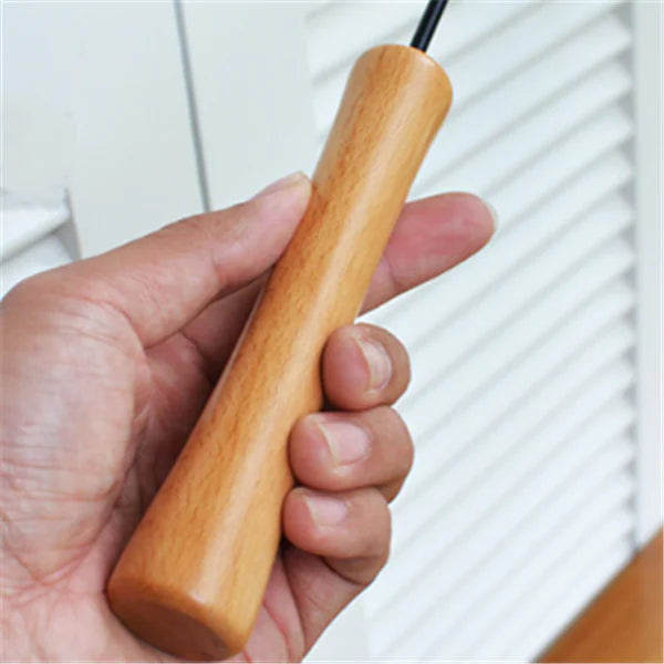 Cat Teaser Wand with Feather