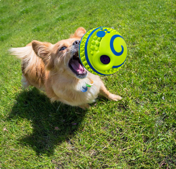 Drools&Tools Pet Sound Ball Toy for Dogs