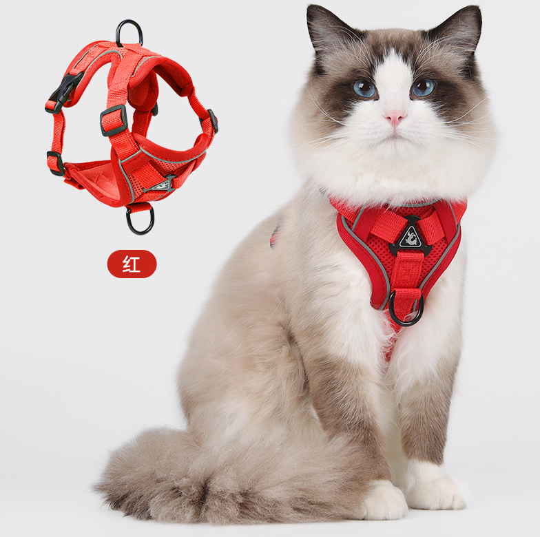 Drools&Tools Chest Strap for Cats – Secure, Stylish, and Comfortable