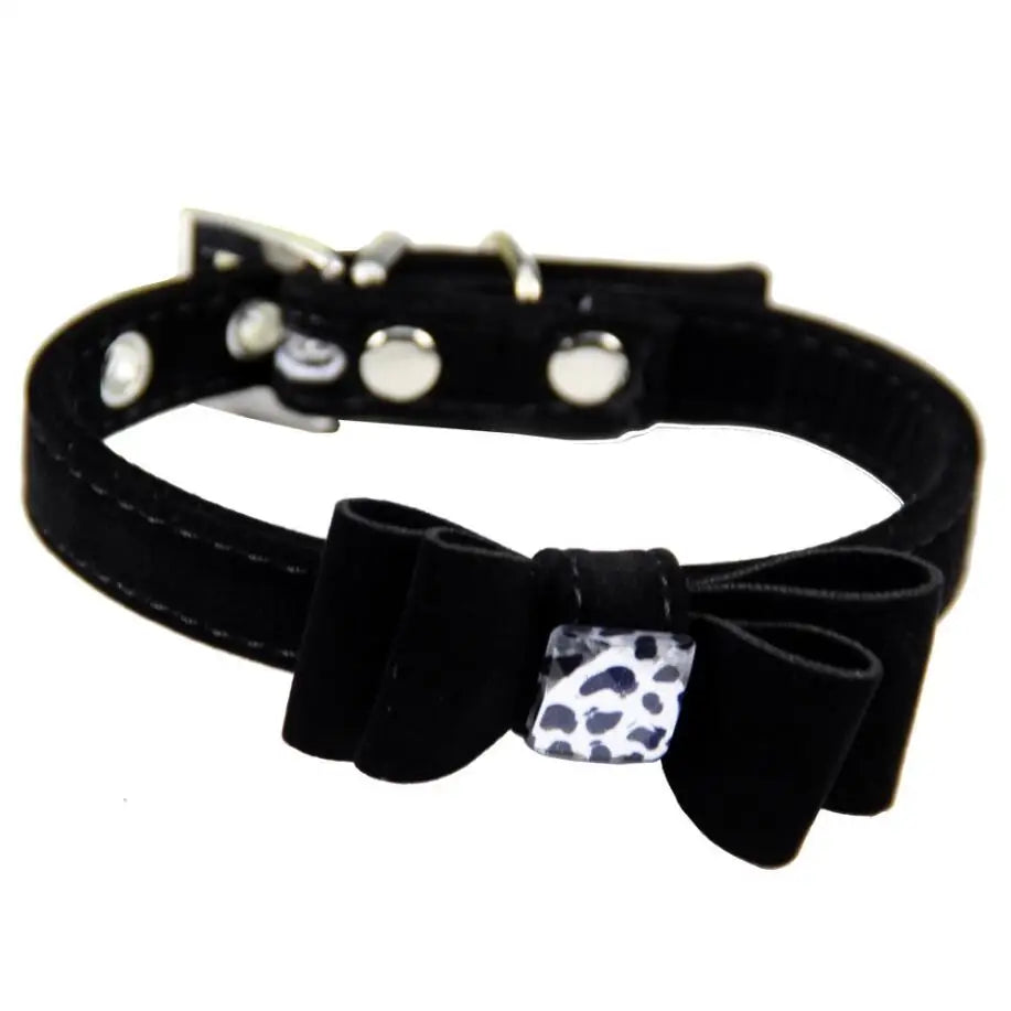 Drools&Tools Velvet Pet Collar Set with Bow Tie