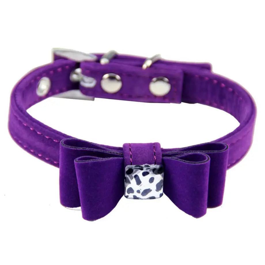 Drools&Tools Velvet Pet Collar Set with Bow Tie