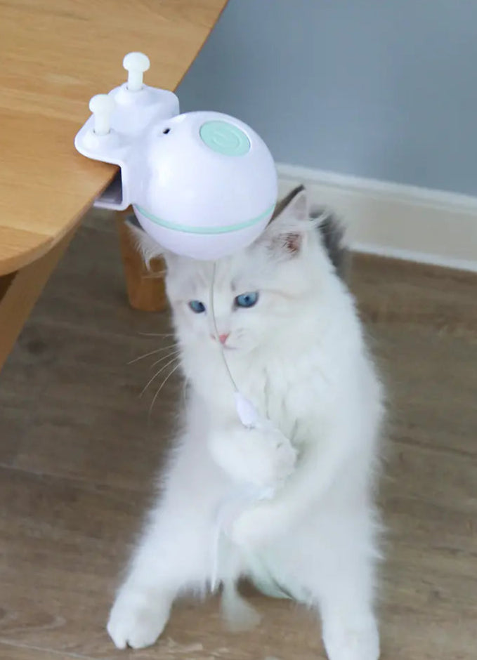 Drools&Tools USB Electric Cat Teaser!