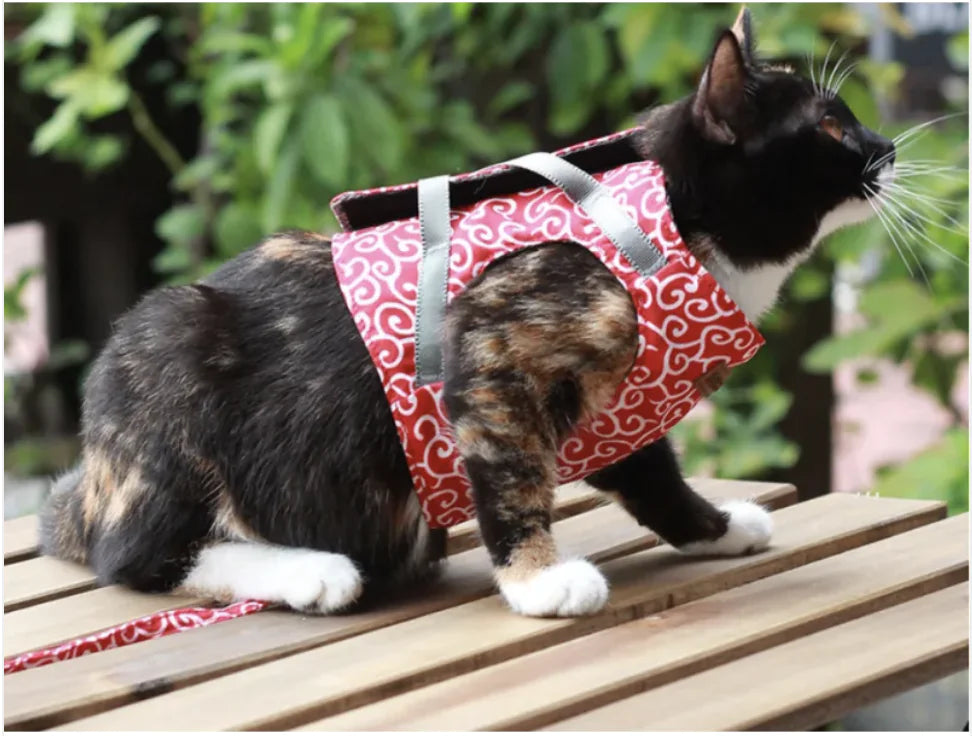 Drools&Tools Stylish & Secure Cat Harness Suit
