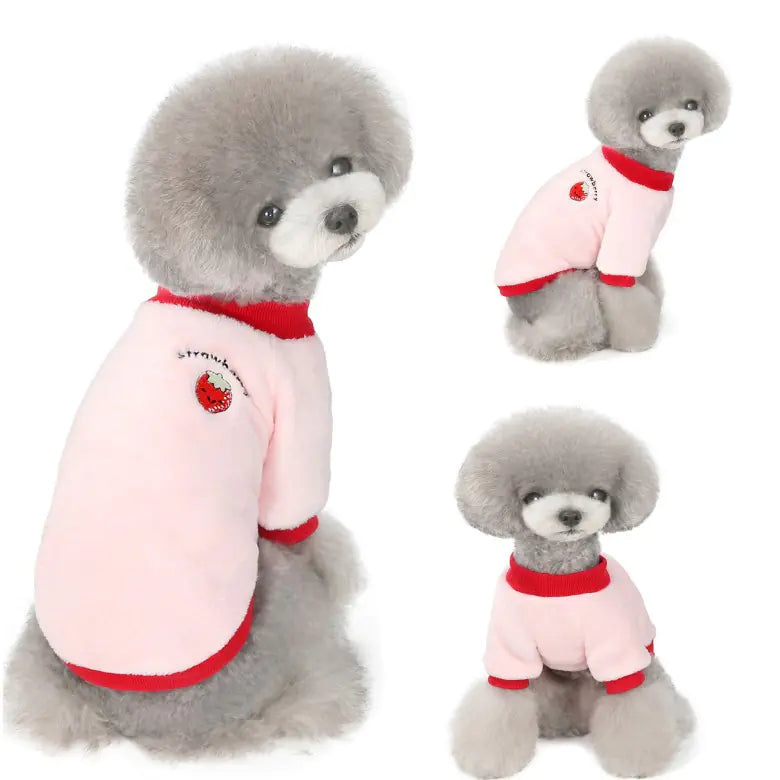 Fruit Fleece Dog Hoodie