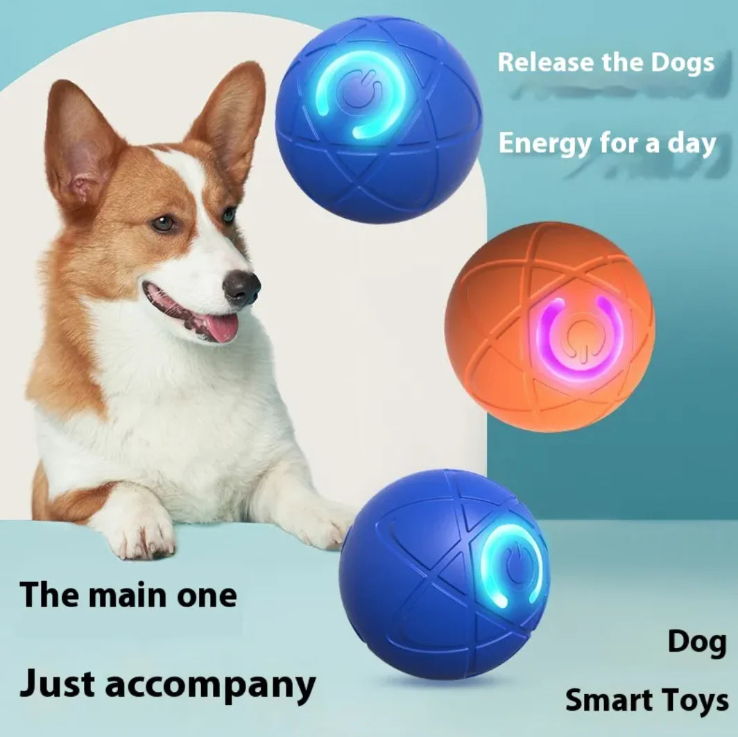Interactive and Durable Pet Toy Ball