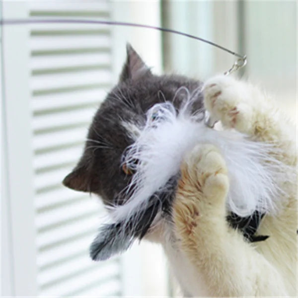 Cat Teaser Wand with Feather