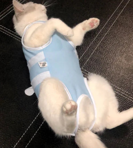 BlueWhisker Airy Gauze Pet Outfit