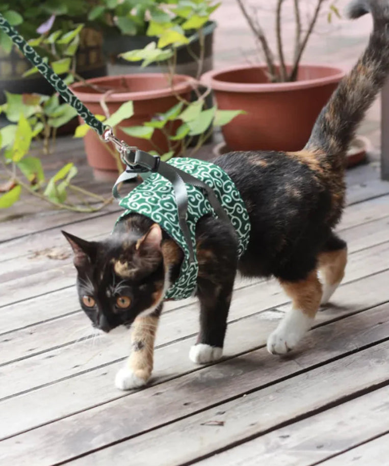 Drools&Tools Stylish & Secure Cat Harness Suit