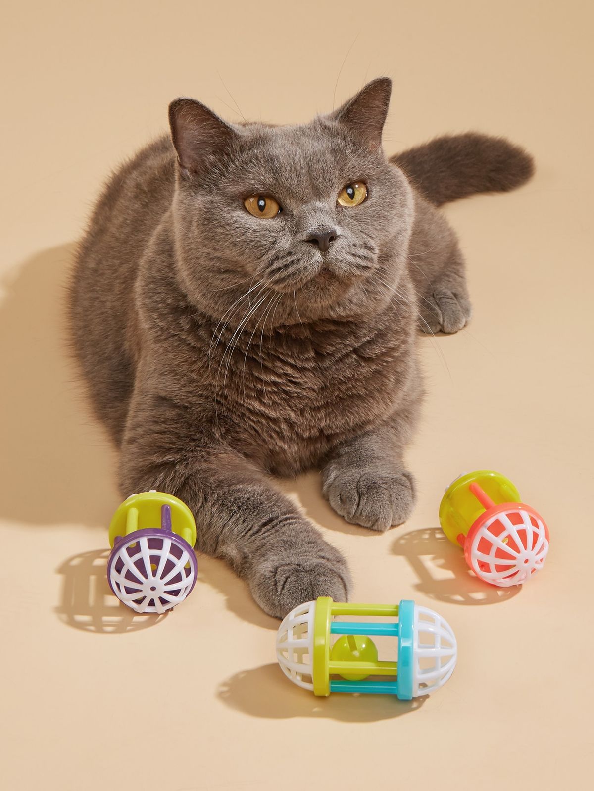 Cat Toys