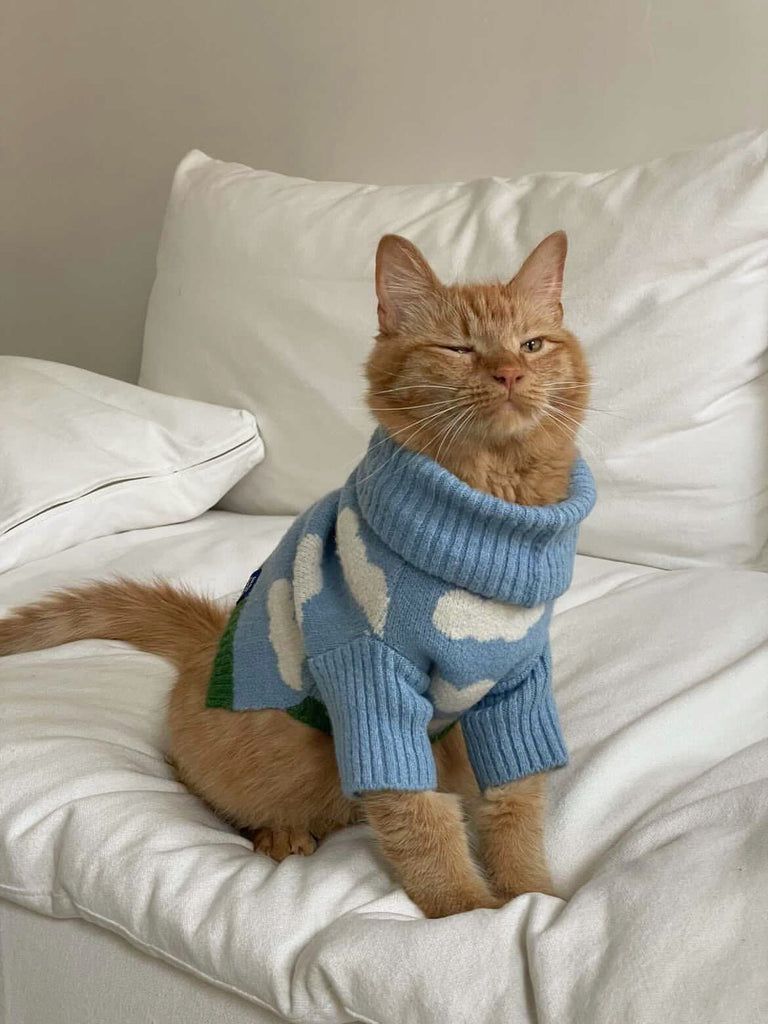 Cat fits
