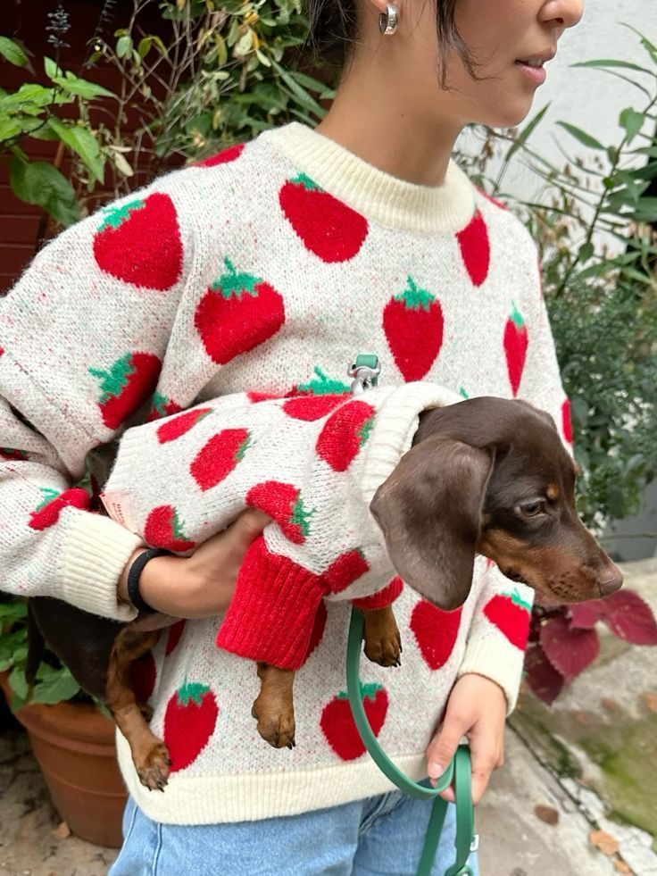 Dog Fits