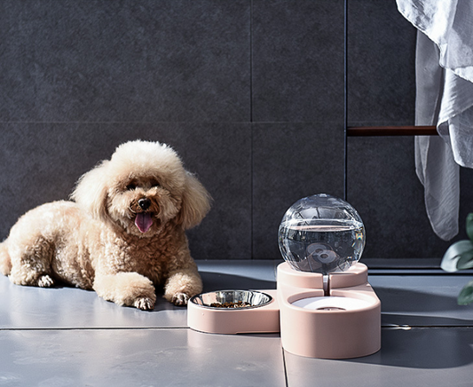 AquaFlow™ Automatic Pet Water Bowl