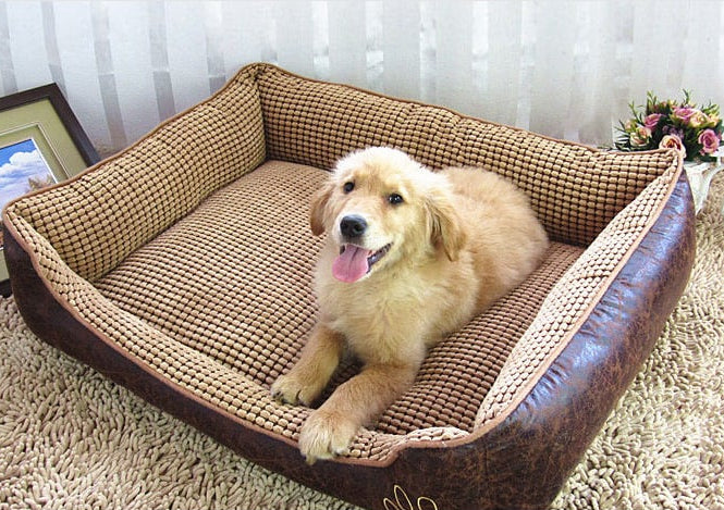 BoneLuxe: Leather Kennel Bed