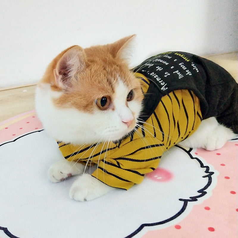 Striped Knit Winter Outfits for Kittens & Cats