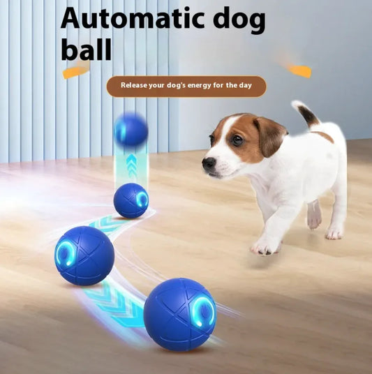 Interactive and Durable Pet Toy Ball