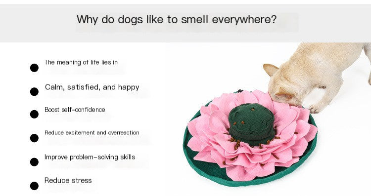 SniffLotus™ Interactive Pet Sniffing Mat – Slow Feeding Training Toy