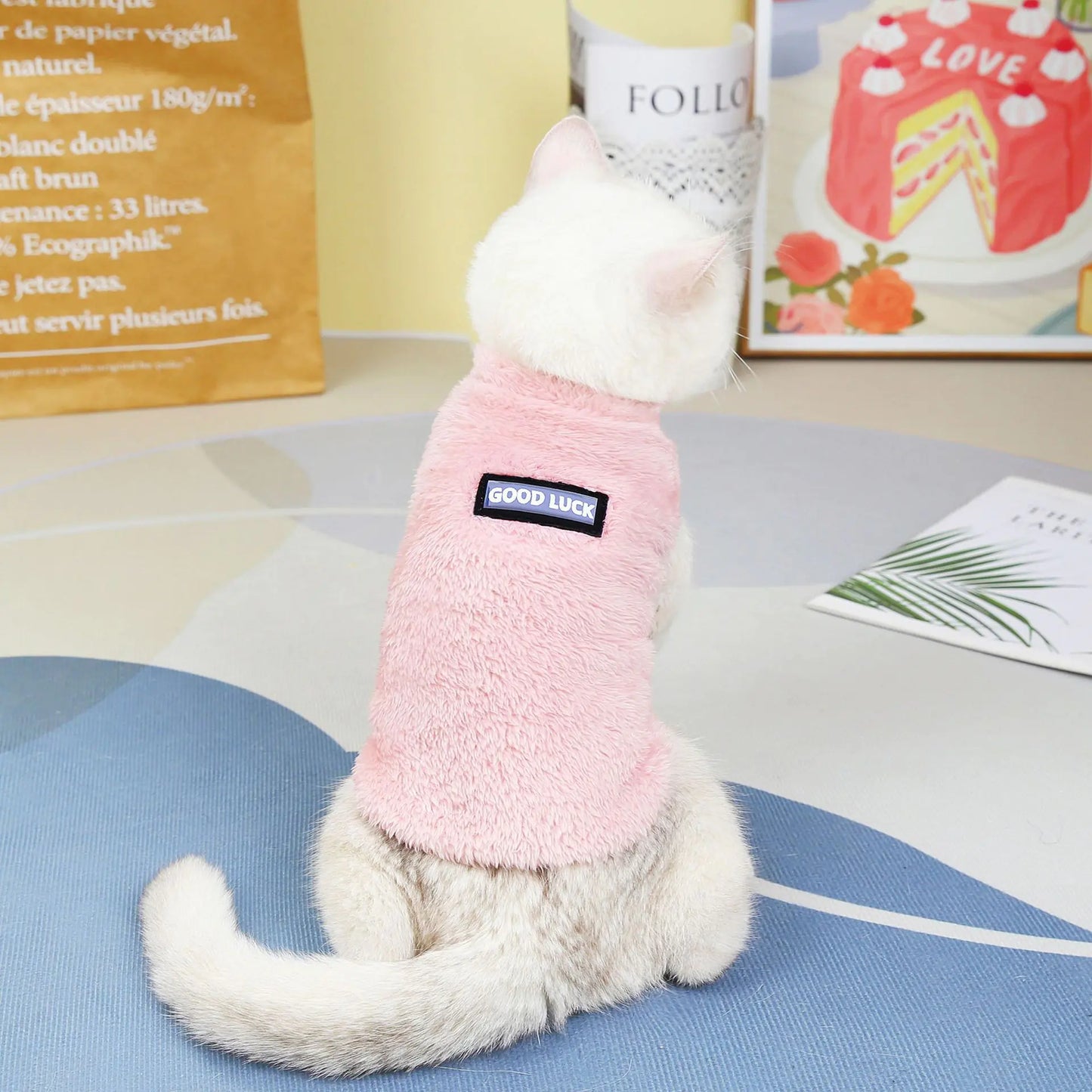 Fleece-Lined Winter Wear for Cats