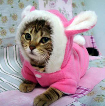 Cotton Hooded Outfit for Cats