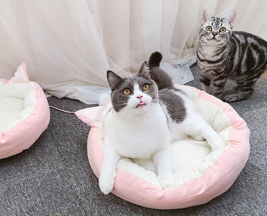 DroolsNest™ Washable Pet Bed