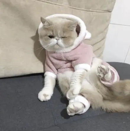 Piggy Coral Fleece Winter Outfit for Cats