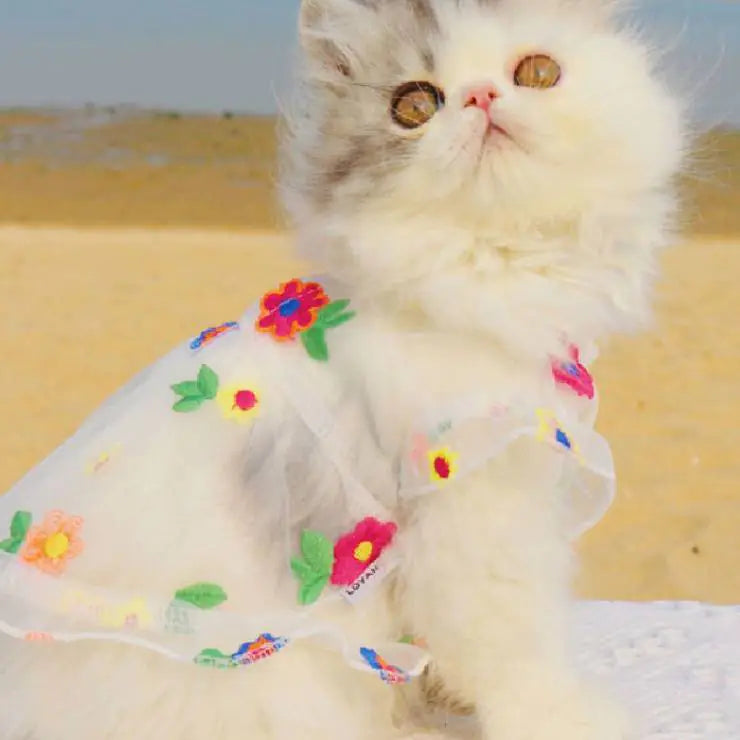 Mesh Flower Embroidered Dress for Cats