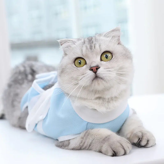 BlueWhisker Airy Gauze Pet Outfit