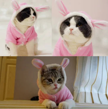 Cotton Hooded Outfit for Cats