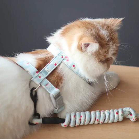 Simple Pet Print Anti-Stroke Cat Leash