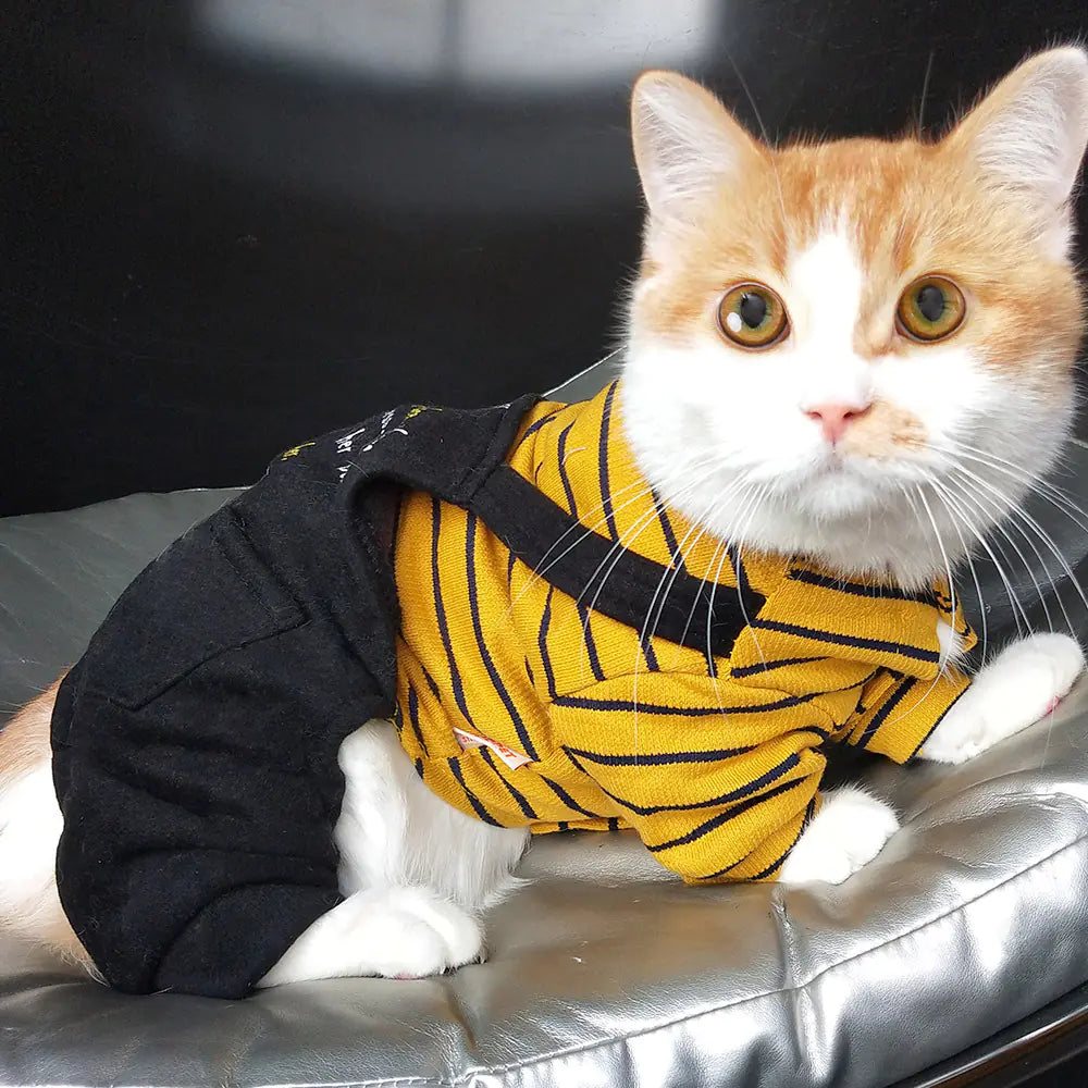 Striped Knit Winter Outfits for Kittens & Cats