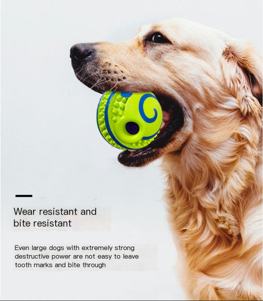 Drools&Tools Pet Sound Ball Toy for Dogs