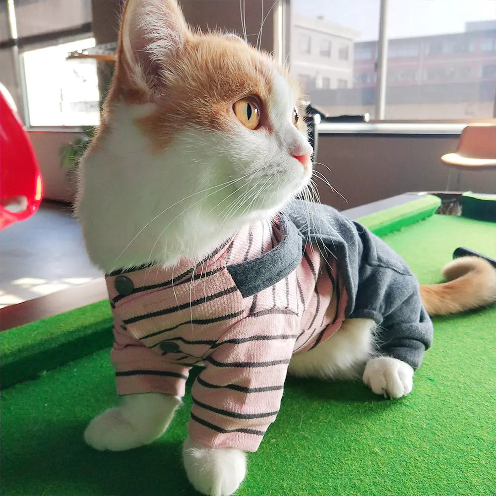 Striped Knit Winter Outfits for Kittens & Cats
